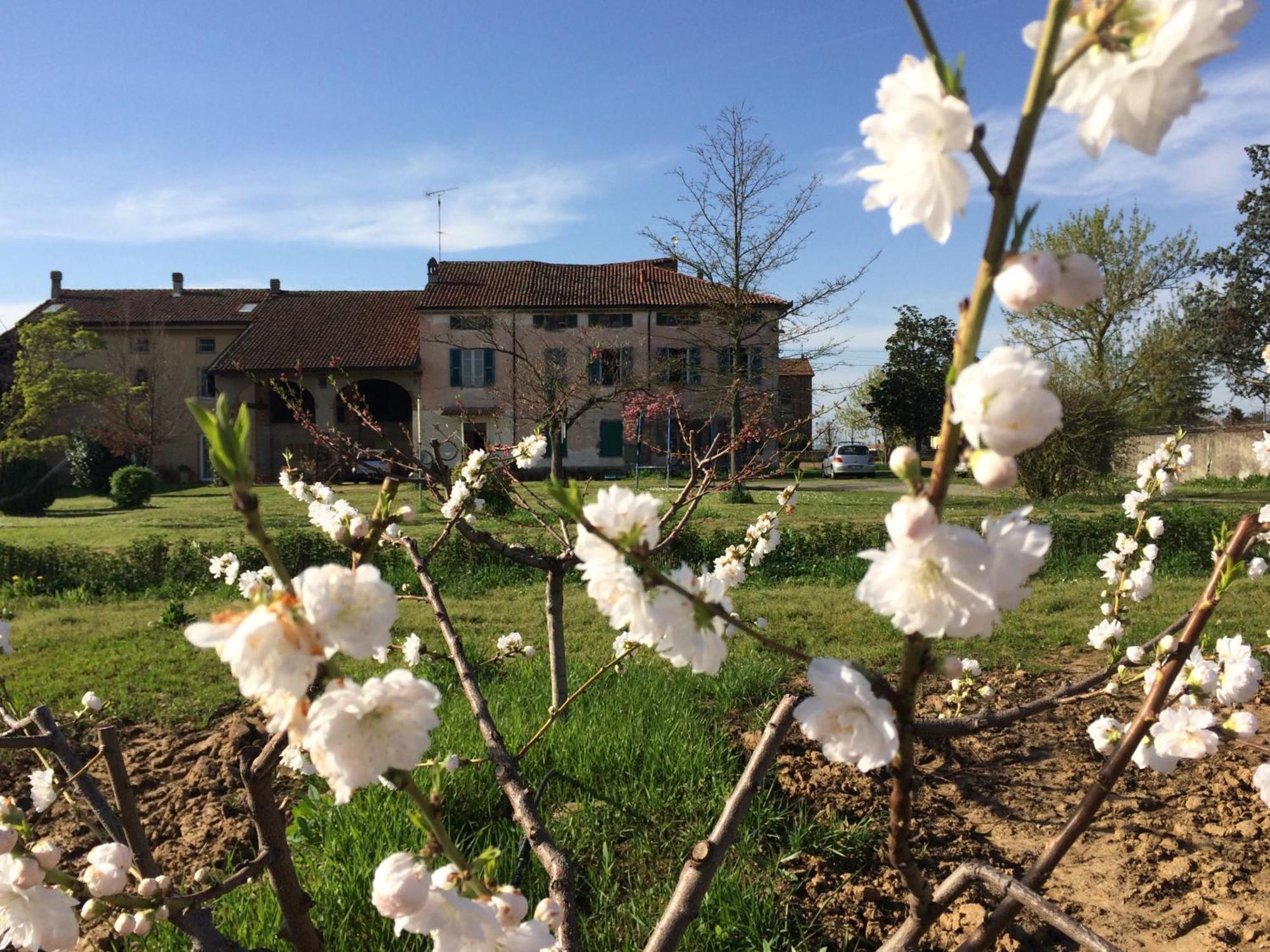 Fattoria Del Soul Hotel Bosco Marengo Екстериор снимка
