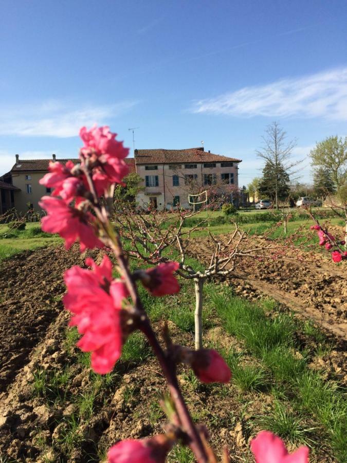 Fattoria Del Soul Hotel Bosco Marengo Екстериор снимка